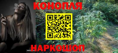 сатива Нарткала